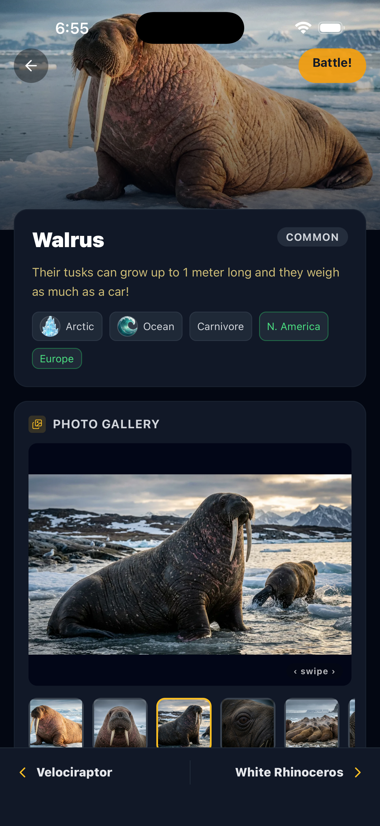 Animal detail page with facts and image gallery